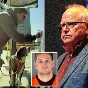 Tim Walz State Employee Arrested For Allegedly Vandalizing Teslas Tim Walz State Employee Arrested For Allegedly Vandalizing Teslas